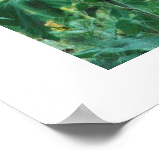 Poster Sunflower Buck (Coin)