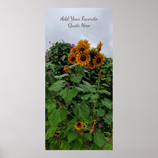 Poster Sunflower et Morning Glory Photographie Ajouter un (Devant)