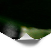 Poster Sunflower éveillée (Coin)