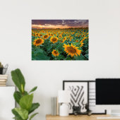 Poster Sunflower Field à Longmont, Colorado (Bureau à domicile)