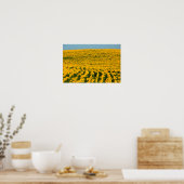 Poster Sunflower Galore (Cuisine)
