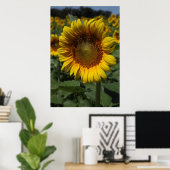 Poster Sunflower Series 09 (Bureau à domicile)