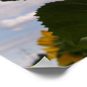 Poster Sunflower Sky (Coin)