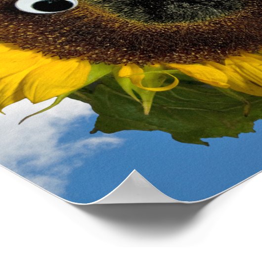 Poster Sunflower Summer Fun (Coin)