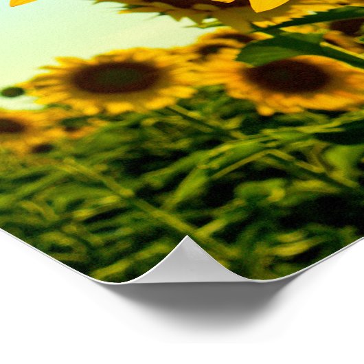 Poster Sunflower Sun Star (Coin)