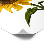 Poster Sunflower Sunshine Floral Aquarelle Fleur (Coin)