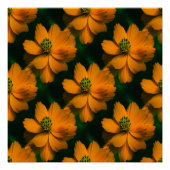 Poster Sunlight Love... (Devant)