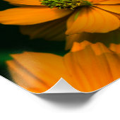 Poster Sunlight Love... (Coin)