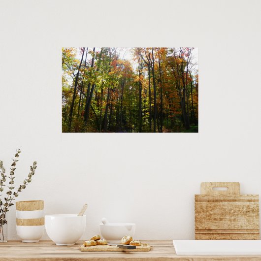 Poster Sunlit Fall Forest Paysage d'automne (Cuisine)