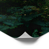 Poster Sunlit Forest Path Through Ancient Pines (Coin)