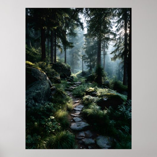Poster Sunlit Forest Path Through Ancient Pines (Devant)