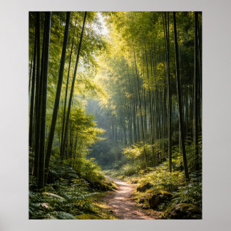 Poster Sunlit Path Through Bamboo Forest
