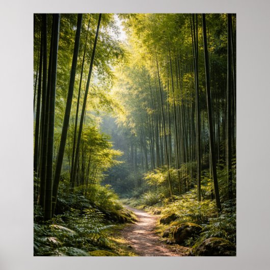 Poster Sunlit Path Through Bamboo Forest (Devant)