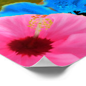 Poster Sunny Beach Surf (Coin)