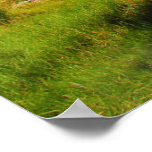 Poster Sunny Hillside (Coin)