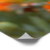 Poster Sunny Marigold (Coin)