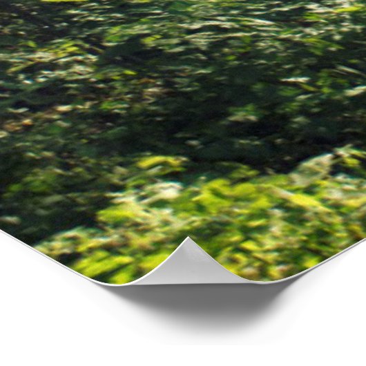 Poster Sunny Octobre Matin à Hambourg (Coin)