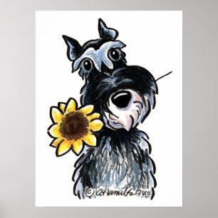 Poster Sunny Schnauzer Classic