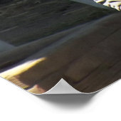 Poster Sunny Zebra (Coin)