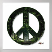 Poster Sunpeace (Devant)