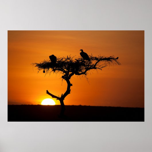 Poster Sunrise at the Masai Mara, Kenya (Devant)