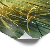 Poster Sunrise Church with Birds in Misty Meadow (Coin)