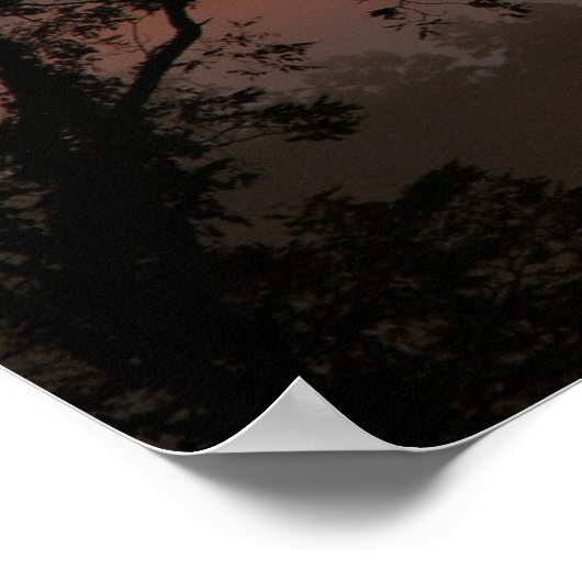 Poster Sunrise de Buffalo (Coin)