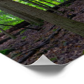 Poster Sunrise Forestière (Coin)