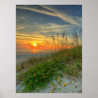 Poster Sunrise Over Sand Dunes à Daytona Beach, FL