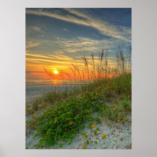 Poster Sunrise Over Sand Dunes à Daytona Beach, FL (Devant)