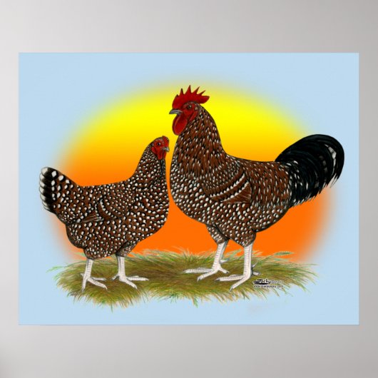 Poster Sunrise Sussex (Devant)