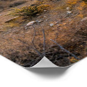 Poster Sunrize Over Arizona Trail (Coin)