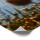 Poster Sunset (Coin)