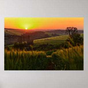 Poster Sunset Agriculture Wheat