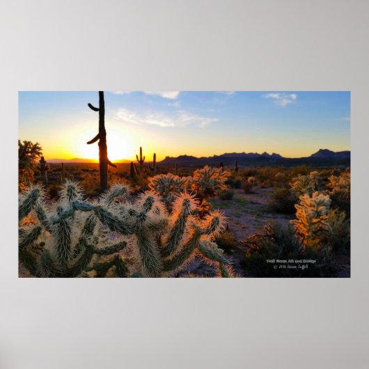 Poster Sunset Arizona Sonoran Désert avec cactus saguaro (Devant)