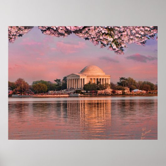 Poster Sunset at Jeferson Memorial with Cherry Blossoms (Devant)