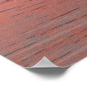 Poster Sunset at Jeferson Memorial with Cherry Blossoms (Coin)