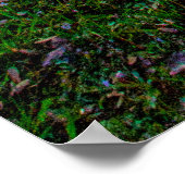 Poster Sunset at Lake Zobel, George LeStrange Preserve (Coin)