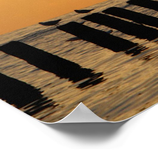 Poster Sunset Birds Floride Imprimer (Coin)