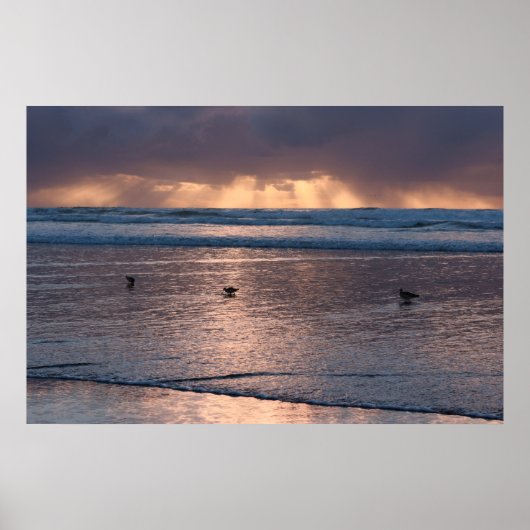 Poster Sunset Coast Beach Birds Nature Photo (Devant)
