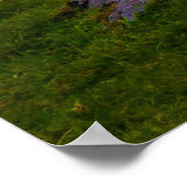 Poster Sunset Comté Clare Dolmen (Coin)