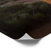 Poster Sunset Delight : Charming Quokka Smiles à la camér (Coin)