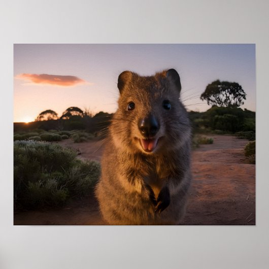 Poster Sunset Delight : Charming Quokka Smiles à la camér (Devant)