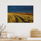 Poster Sunset highlights the red bark of bushes (Cuisine)