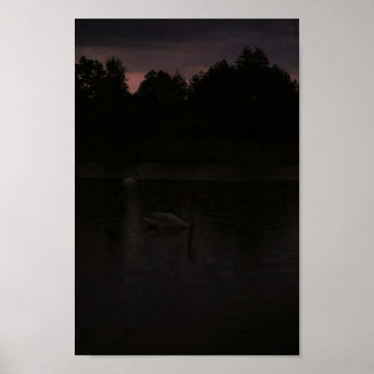 Poster Sunset Lake Rain Swans Nature Paysage (Devant)