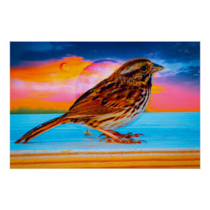 Poster Sunset Melody