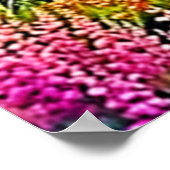 Poster Sunset Mountain Lake Majesty Art (Coin)