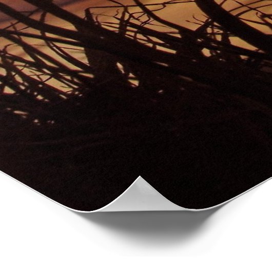 Poster Sunset néo-zélandais (Coin)