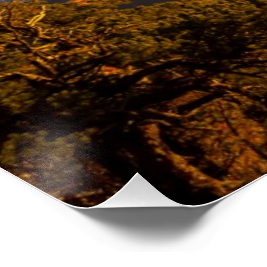 Poster Sunset over (Coin)