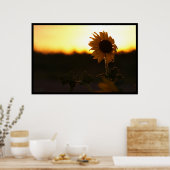 Poster Sunset Sunflower (Cuisine)
